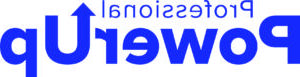 专业的电源标志，白色背景上的蓝色文字
