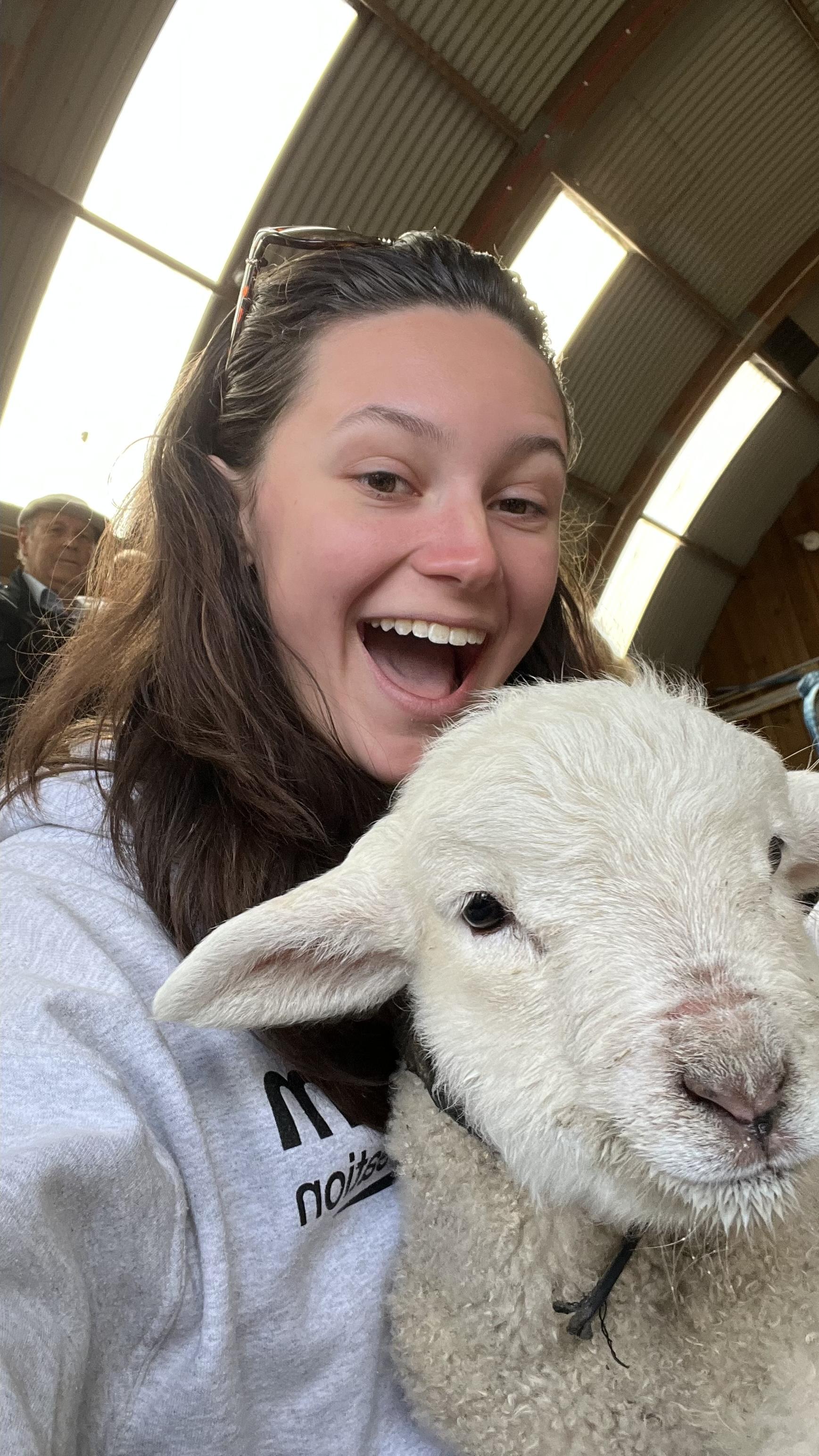 selfie with a sheep